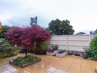 Picture 23